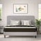 Flash Furniture Dream 10 in Hybrid Mattress, King Size High Density Foam and Pocket Spring Mattress in a Box, White/Black DR-E230P-R-K-10-GY-GG - alternate 1